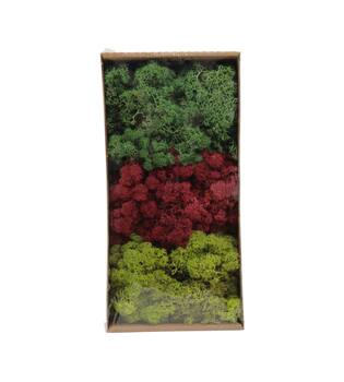 Moss reindeer 500gr nature 38x19x9cm