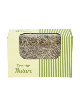 Moss tillandsia 50gr nature 14x8x10cm - Natural