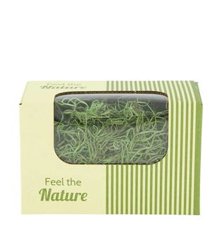 Moss tillandsia 50gr nature 14x8x10cm - Green