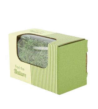 Moss tillandsia 50gr nature 14x8x10cm - Green