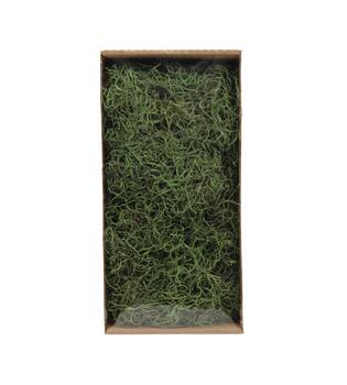 Moss tillandsia 500gr nature 38x19x9cm