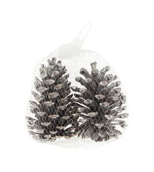 Pinecone nature 13x13x8cm 2pc