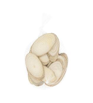 Slice 200gr birch 12x12x5cm - Natural