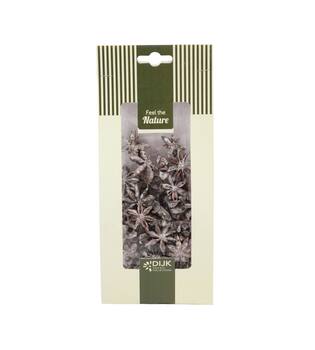 Star anise nature 10x5x22cm 50gr - White