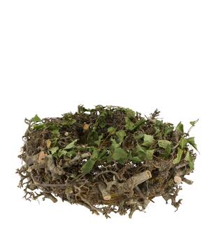 Wreath bonsai nature 45x12x45cm - Natural