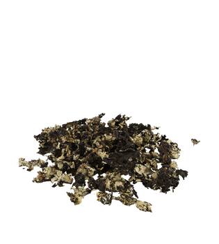 Black moss 250gr - Natural