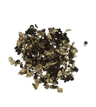 Black moss 250gr - Natural