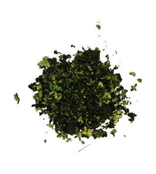 Black moss 250gr - Green