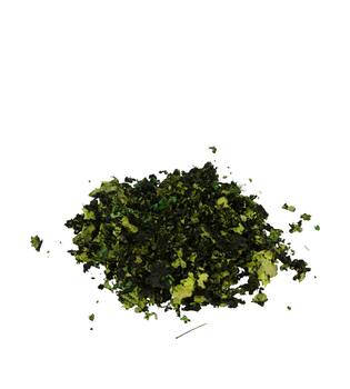 Black moss 250gr - Green