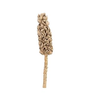 Cacho de coco with stem 90cm
