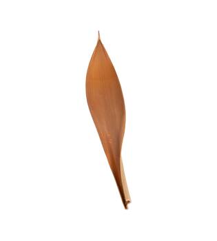 Coco giant 60-80cm