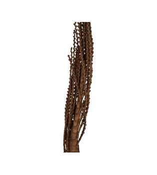 Galho Buriti 150cm 1pc - Natural