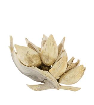 Penca sororoca medium - Cream