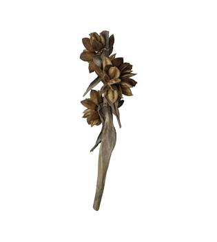 Sororoca 3 flowers nature 76x25x20cm - Natural