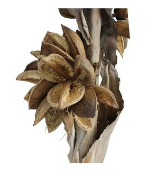 Sororoca 3 flowers nature 76x25x20cm - Natural