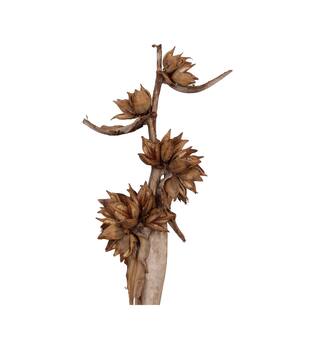 Sororoca trunk 150-170cm - Natural