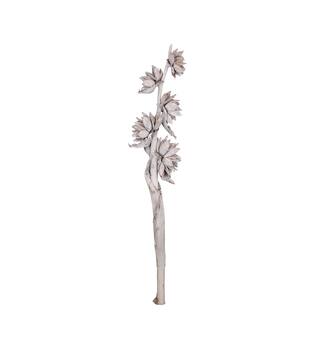 Sororoca trunk 150-170cm