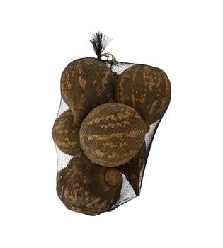 Baobab big 12-20cm 6pc