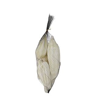 Baobab big 12-20cm 6pc