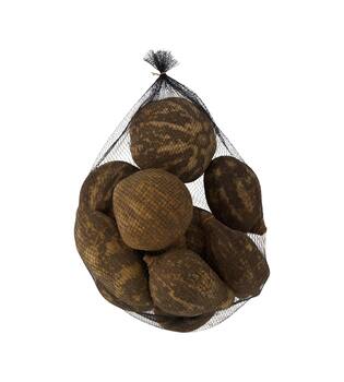 Baobab medium 8-12cm 10pc