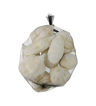 Baobab medium 8-12cm 10pc - White