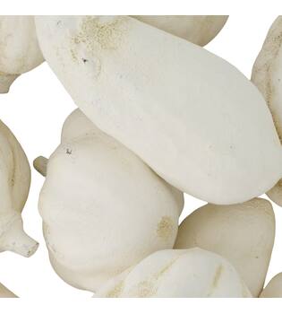 Baobab medium 8-12cm 10pc - White