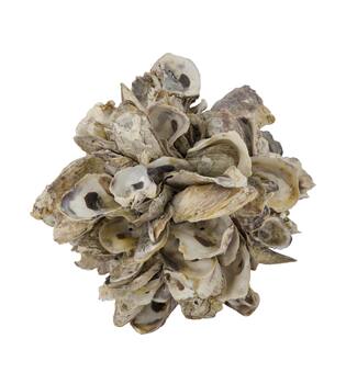 Ball oyster nature 20x20x20cm