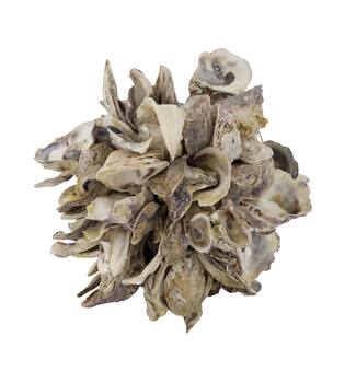 Ball oyster nature 20x20x20cm