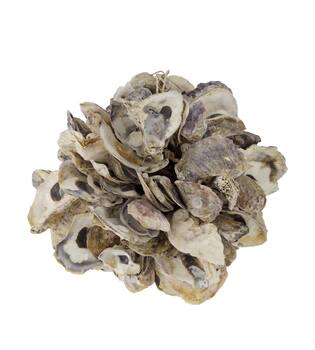 Ball oyster nature 20x20x20cm