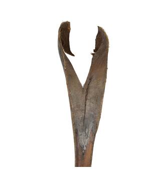 Palmsing 150-180cm - Natural