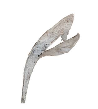 Palmsing 150-180cm