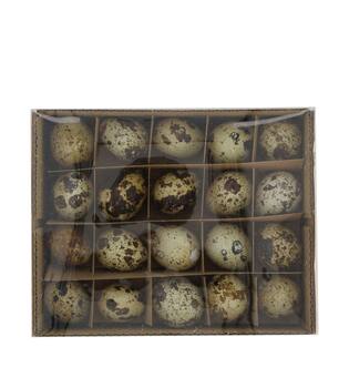 Egg quail nature 15x12x9.5cm 60pc