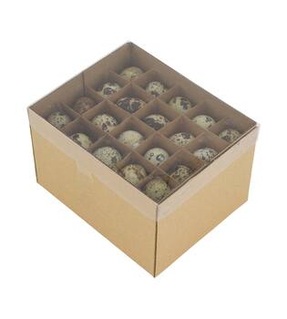 Egg quail nature 15x12x9.5cm 60pc