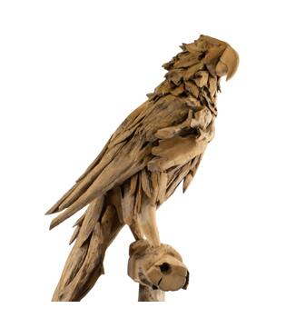 Statue parrot erosion wood on stand 55x68x230cm