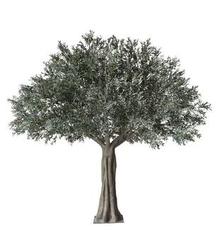 Tree olive artificial 450x450x450cm KD - Green