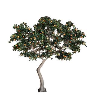 Tree mandarin artificial 300x300x380cm KD - Green