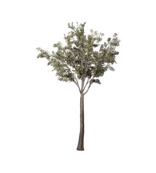 Tree artificial 180x180x300cm KD - Green