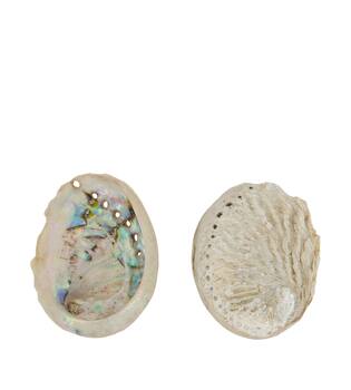 Shell abalone mini nature 21x10x3cm 200gr - Natural