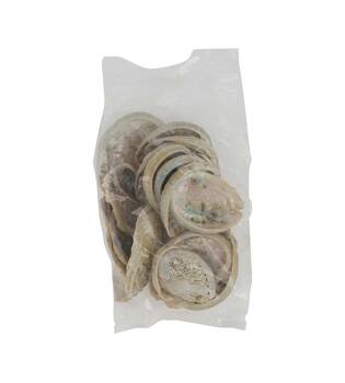 Shell abalone mini nature 21x10x3cm 200gr - Natural