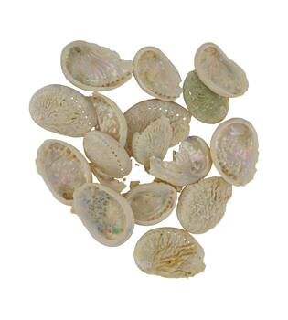 Shell abalone mini nature 21x10x3cm 200gr - Cream