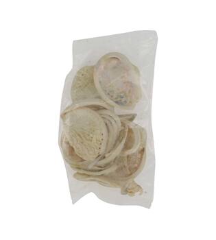 Shell abalone mini nature 21x10x3cm 200gr - Cream