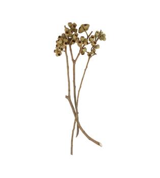 Branch ambernut nature 35x10x6cm