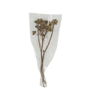 Branch ambernut nature 35x10x6cm