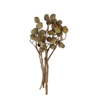 Branch bellgums nature 35x25x12cm - Natural