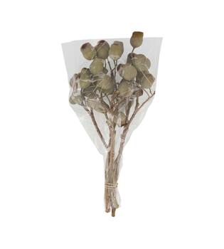 Branch bellgums nature 35x25x12cm - Natural