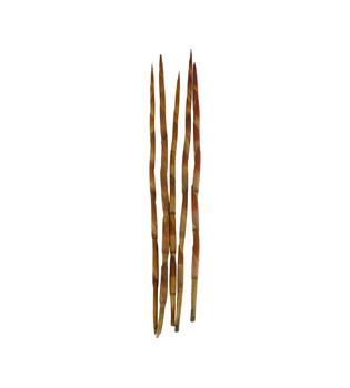 Assegaai 80x10x3cm 5pc - Natural
