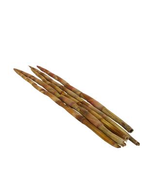 Assegaai 80x10x3cm 5pc - Natural