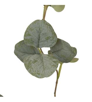 Branch eucalyptus artificial 85x30x5cm - Green