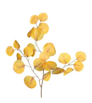 Branch eucalyptus artificial 82x35x5cm - Yellow