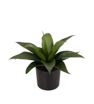 Plant agave artificial 31x34x34cm